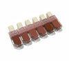 CRAZY LipGloss Set