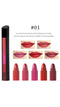 5 in 1 Rotating Lipstick – 5 Shades in One Stick, Long-Lasting & Moisturizing